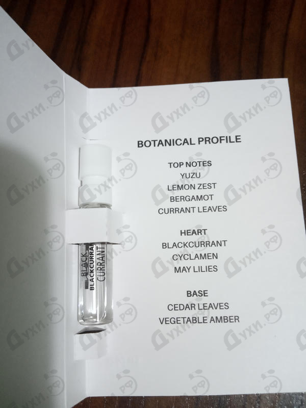 Отзыв Enrico Gi Black Currant Парфюмерия Black Currant от Enrico Gi