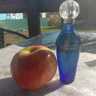 Парфюм Dana Dreams By Tabu