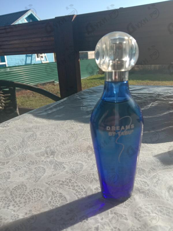 Купить Dana Dreams By Tabu