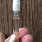 Отзывы Jay Z Gold