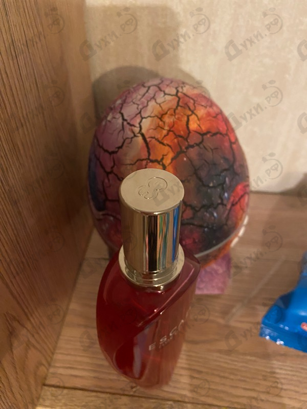 Купить Flor Del Sol от Escada