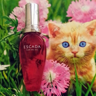 Духи Flor Del Sol от Escada