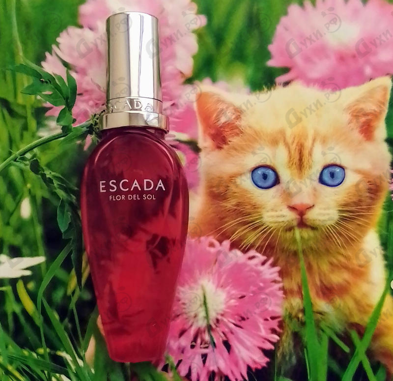 Купить Escada Flor Del Sol