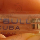 Отзывы Pitbull Cuba