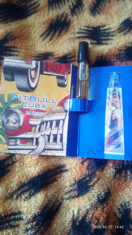 Отзыв Pitbull Cuba