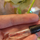 Отзыв Pitbull Cuba