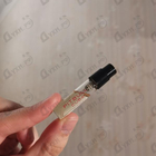 Отзыв Pitbull Cuba