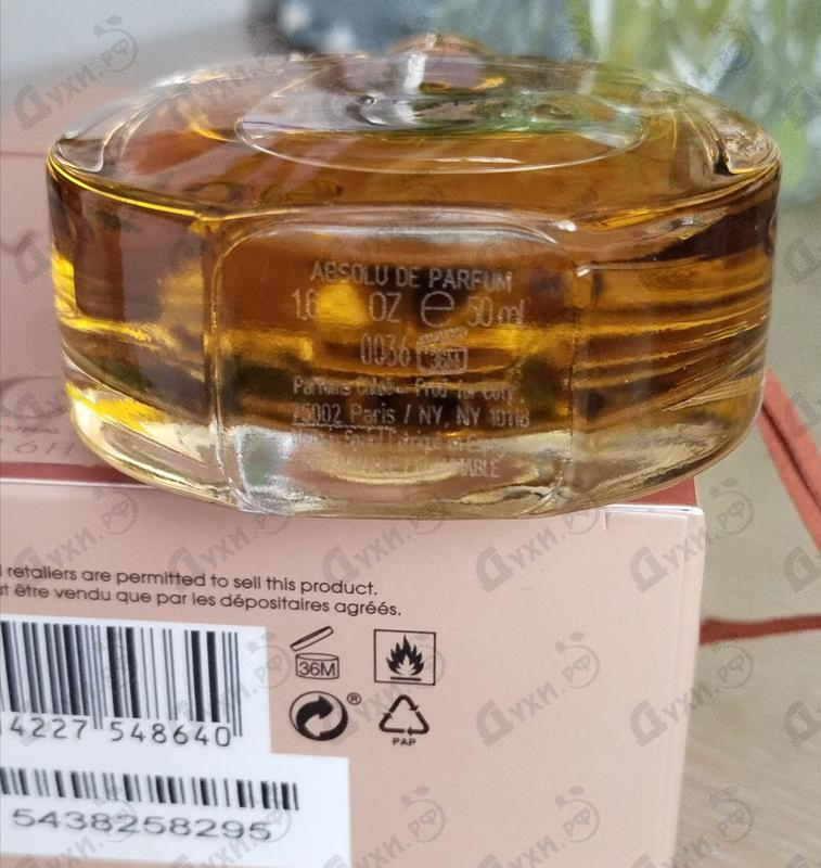 Купить Nomade Absolu De Parfum от Chloe Отзыв Chloe Nomade Absolu De Parfum