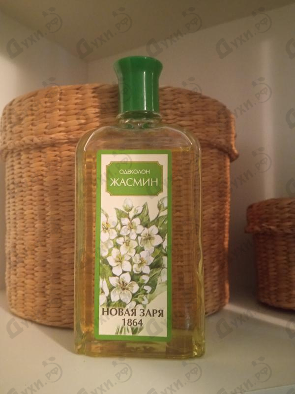 Купить Жасмин от Новая Заря Отзыв Новая Заря Жасмин
