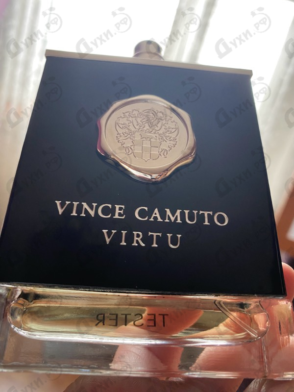 Купить Vince Camuto Virtu