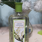 Отзывы Новая Заря Ландыш