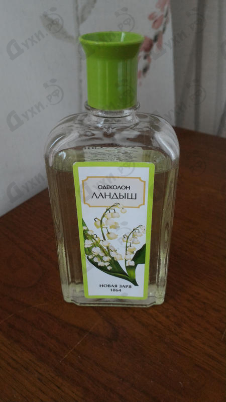 Купить Новая Заря Ландыш