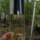 Отзывы Новая Заря Шансита Свежая Вода