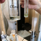 Отзыв Новая Заря Клима