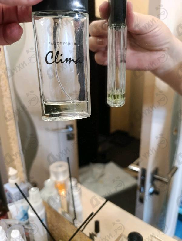 Отзыв Новая Заря Клима