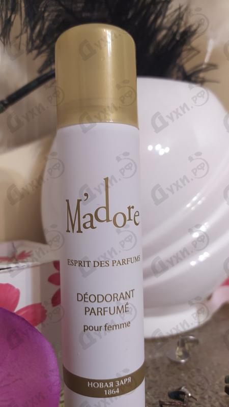 Отзывы Новая Заря Мадоре