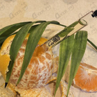 Отзывы Cartier Oud Radieux