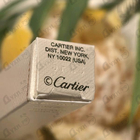 Отзыв Cartier Oud Radieux