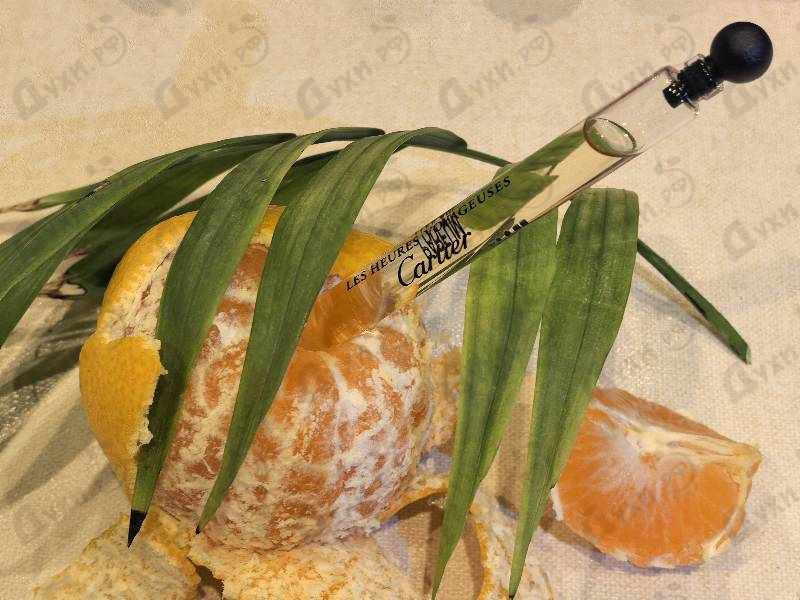 Отзывы Cartier Oud Radieux