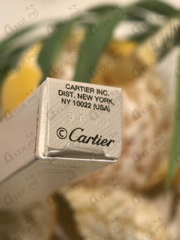 Купить Cartier Oud Radieux