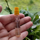 Духи Moon Carnival от Vilhelm Parfumerie