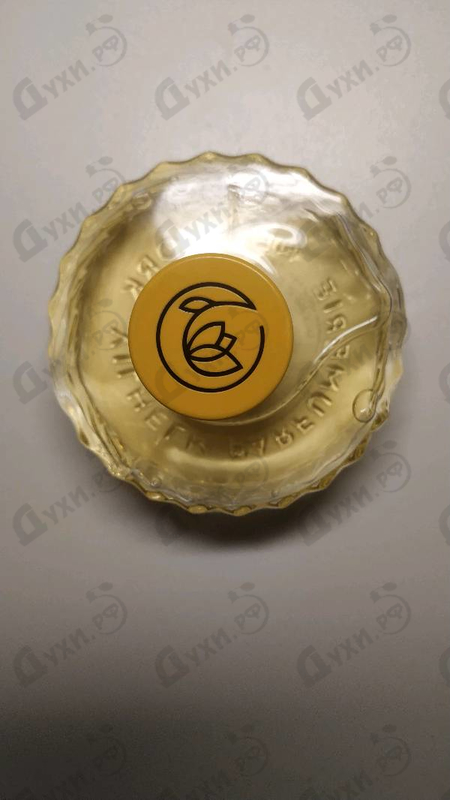 Купить Moon Carnival от Vilhelm Parfumerie