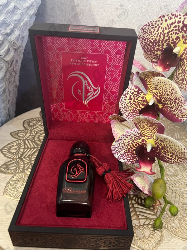 Отзыв Arabesque Bacara Духи Bacara от Arabesque