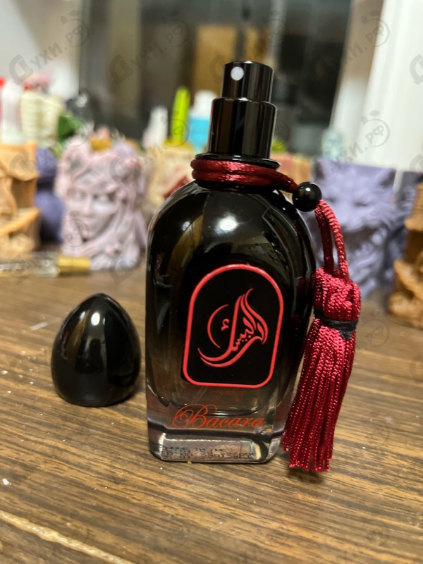 Купить Bacara от Arabesque