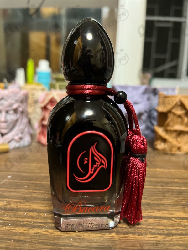 Купить Bacara от Arabesque