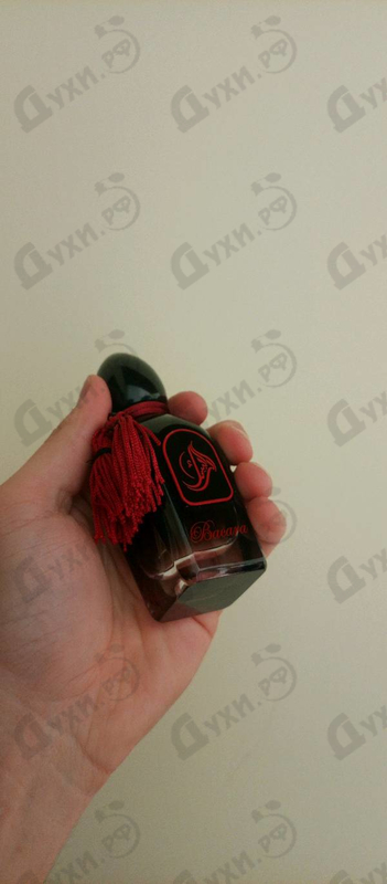 Купить Bacara от Arabesque