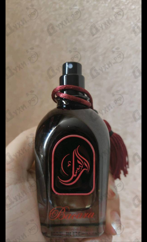 Купить Bacara от Arabesque