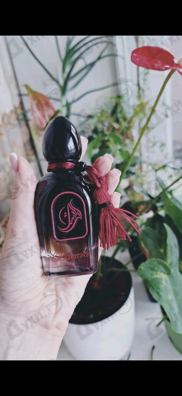 Духи Bacara от Arabesque