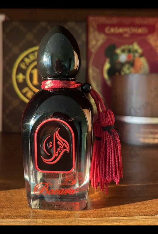 Духи Bacara от Arabesque