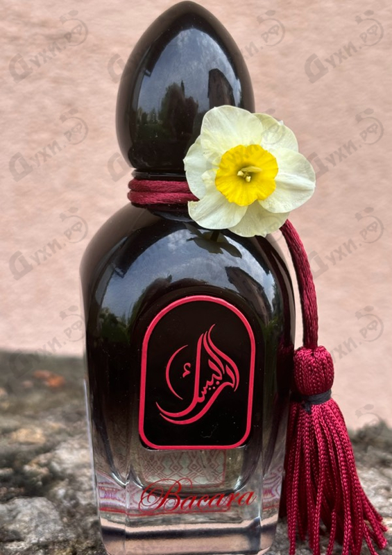 Духи Bacara от Arabesque