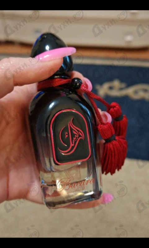 Купить Bacara от Arabesque