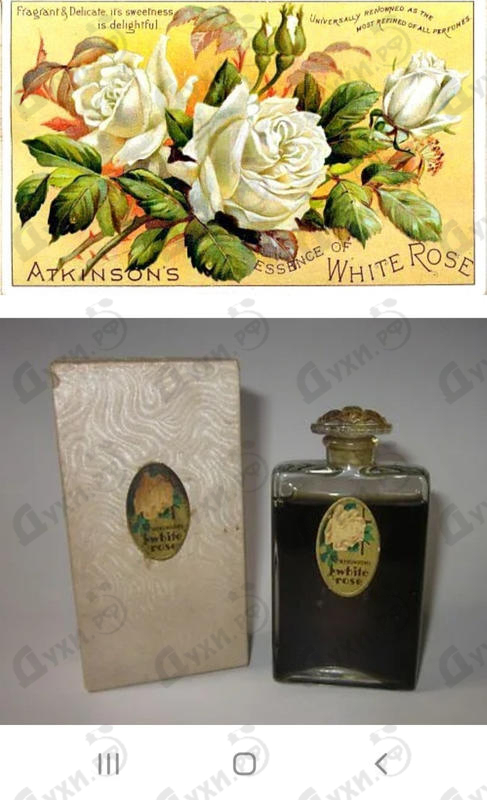 Духи White Rose De Alix от Atkinsons