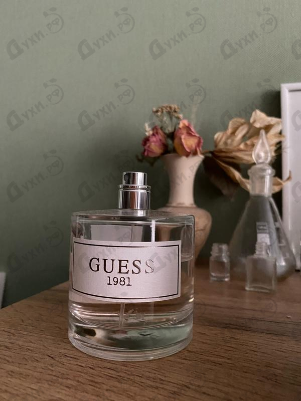 Отзыв Guess Guess 1981