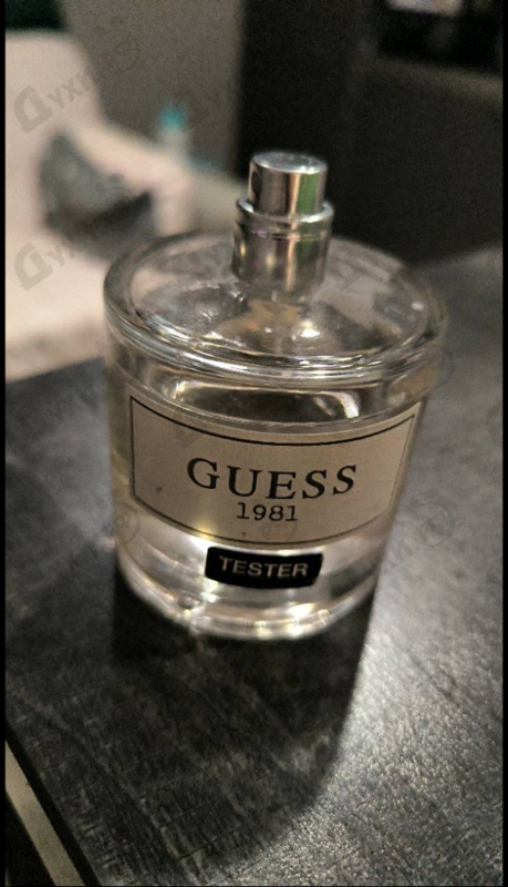 Купить Guess 1981 от Guess