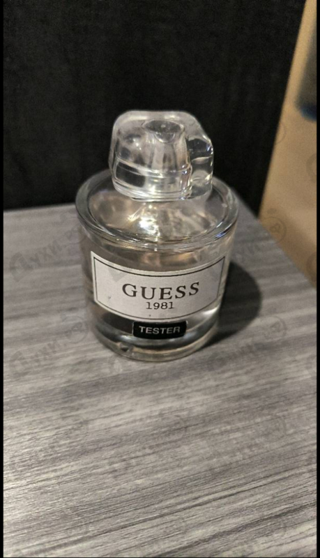 Купить Guess 1981 от Guess