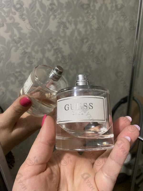 Купить Guess 1981 от Guess