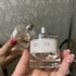 Купить Guess 1981 от Guess