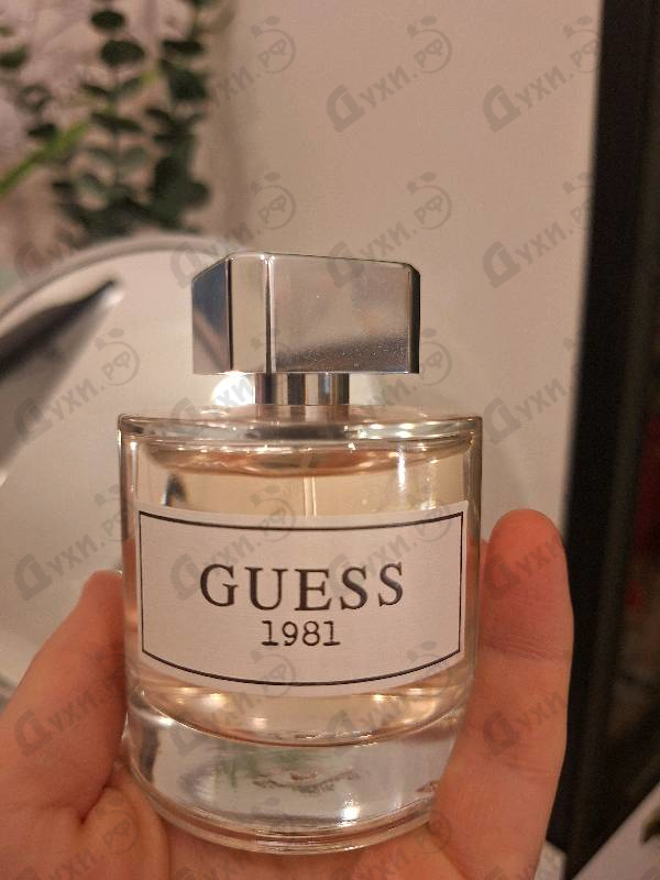 Парфюмерия Guess Guess 1981
