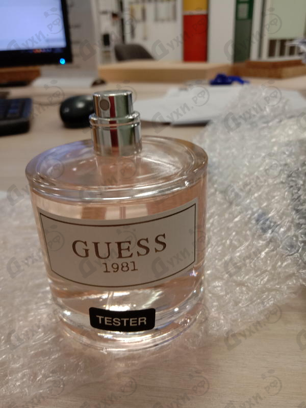 Купить Guess 1981 от Guess