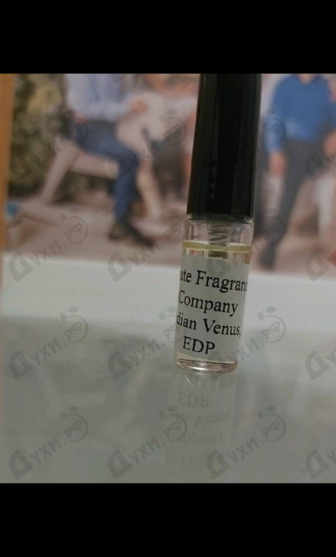 Купить Haute Fragrance Company Indian Venus