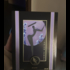 Парфюмерия Indian Venus от Haute Fragrance Company