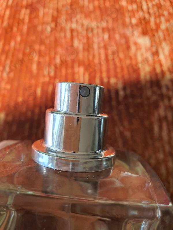 Купить Chanel 1957 от Chanel