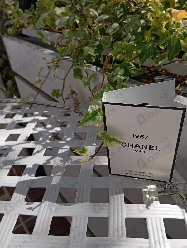 Отзыв Chanel Chanel 1957