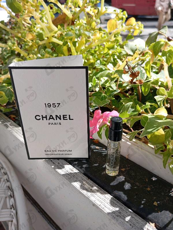 Купить Chanel 1957 от Chanel