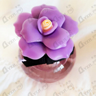 Отзыв Dolce & Gabbana Dolce Peony