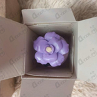 Отзыв Dolce & Gabbana Dolce Peony